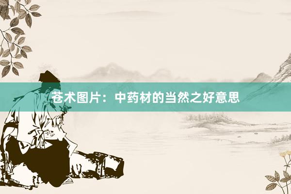 苍术图片：中药材的当然之好意思